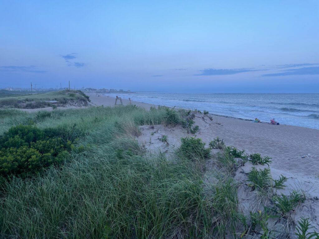 a beach with grass and water (MyCoast AI)