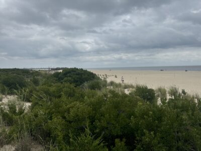 a person walking on a beach (MyCoast AI)