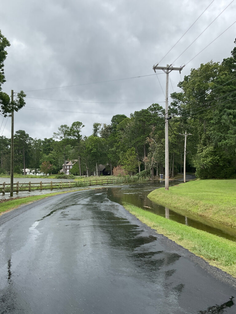 a wet road with grass and trees (MyCoast AI)