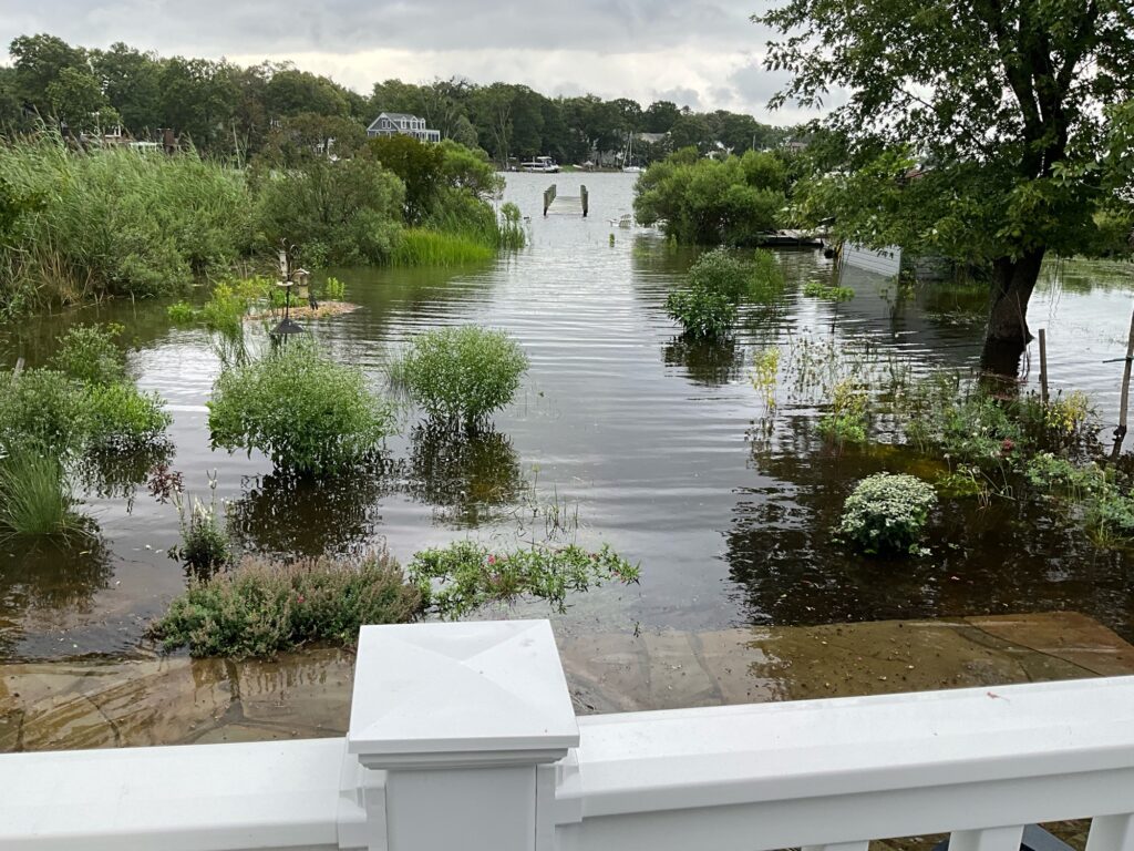 a flooded area with trees and a bridge (MyCoast AI)