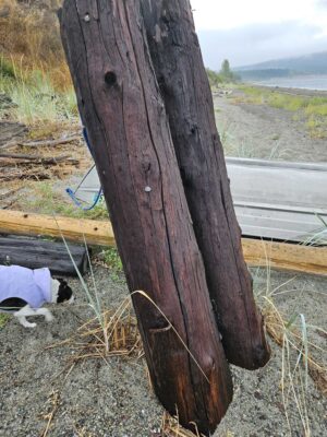 a wooden post with a hole in it (MyCoast AI)