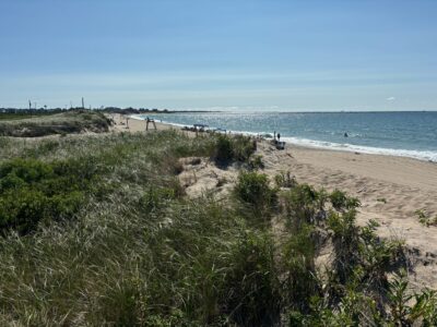 a beach with people walking on it (MyCoast AI)