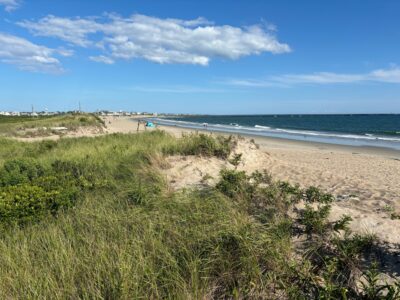 a beach with grass and sand (MyCoast AI)