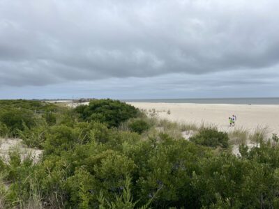 a couple people walking on a beach (MyCoast AI)