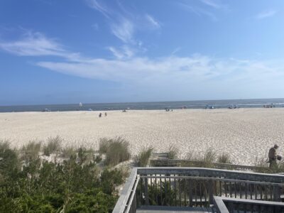 a sandy beach with a body of water in the background (MyCoast AI)