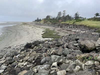 a rocky beach with grass and trees (MyCoast AI)