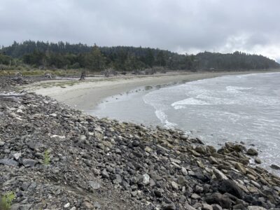 a rocky beach with trees in the background (MyCoast AI)