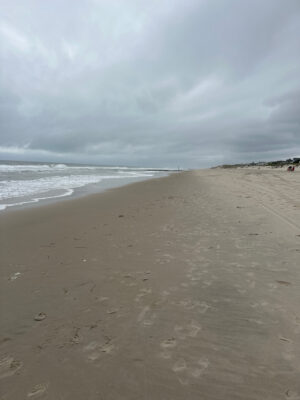 a sandy beach with waves crashing on it (MyCoast AI)