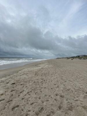 a sandy beach with waves crashing on it (MyCoast AI)