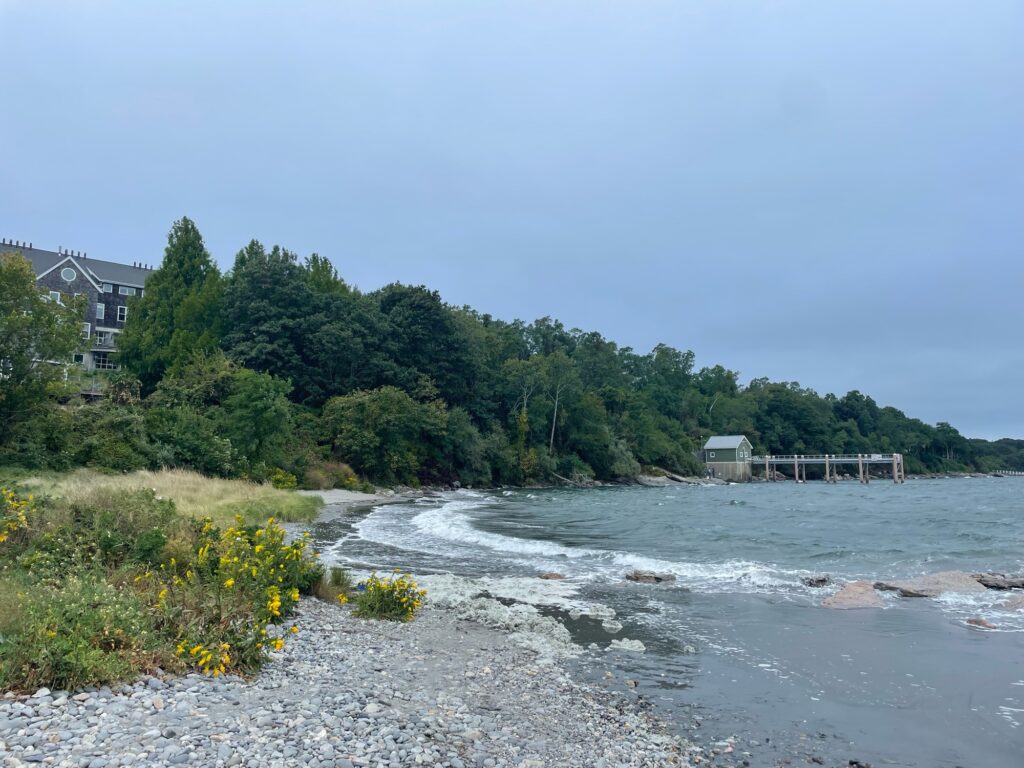 a beach with a house and trees (MyCoast AI)
