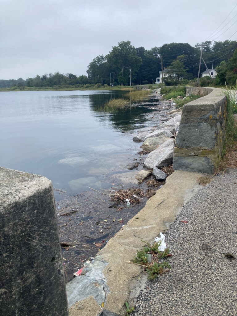 a body of water with rocks and a road by it (MyCoast AI)
