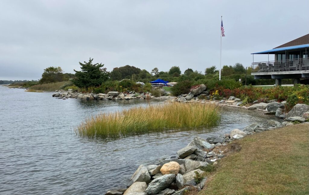 a body of water with rocks and grass by it (MyCoast AI)