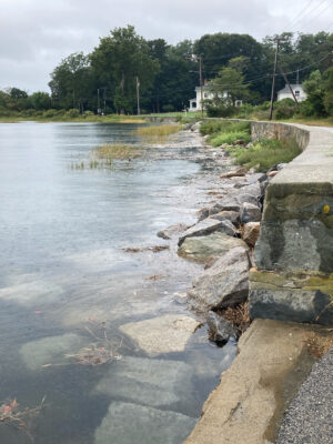 a river with rocks and a road (MyCoast AI)