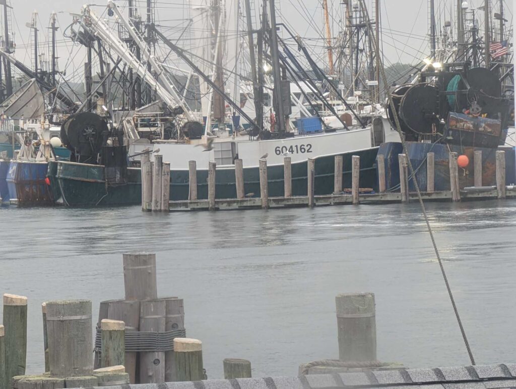 a large ship docked (MyCoast AI)