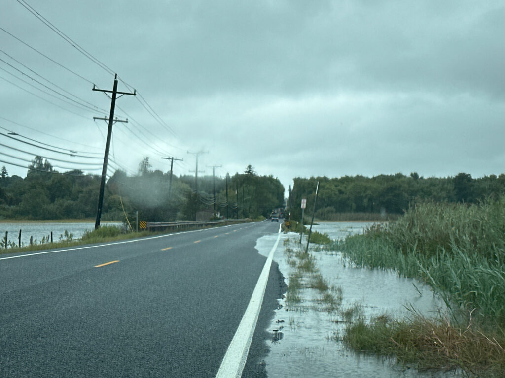 a road with water on the side (MyCoast AI)