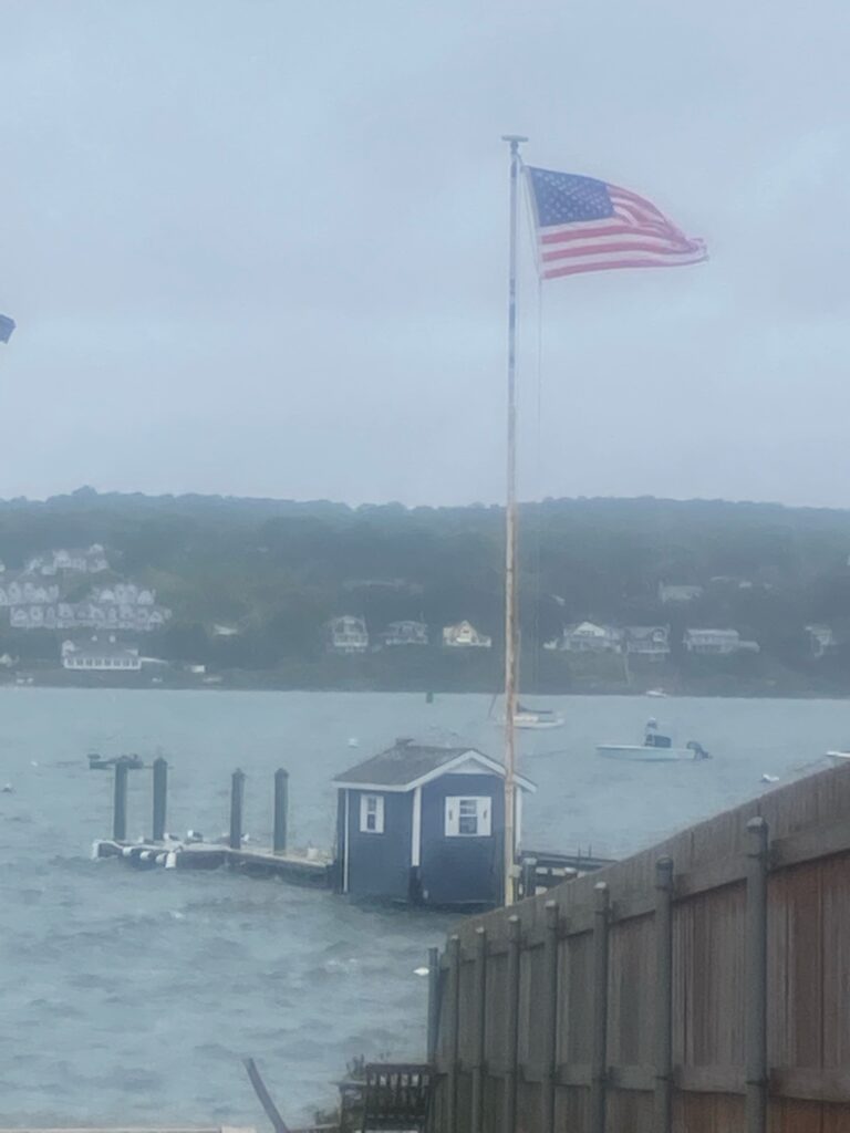 a flag on a pole (MyCoast AI)