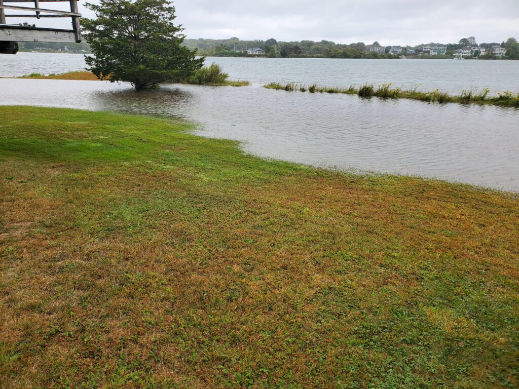 a grassy area next to a body of water (MyCoast AI)