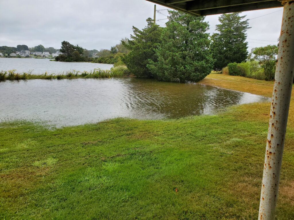 a pond with grass and trees (MyCoast AI)