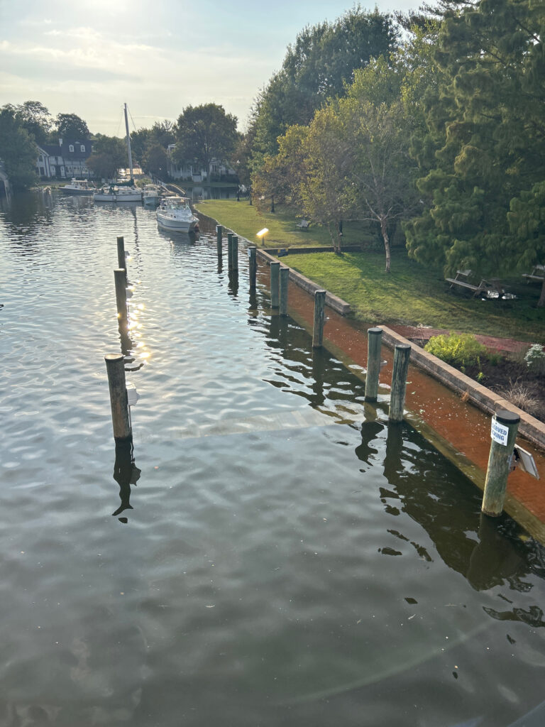 a canal with boats and grass (MyCoast AI)