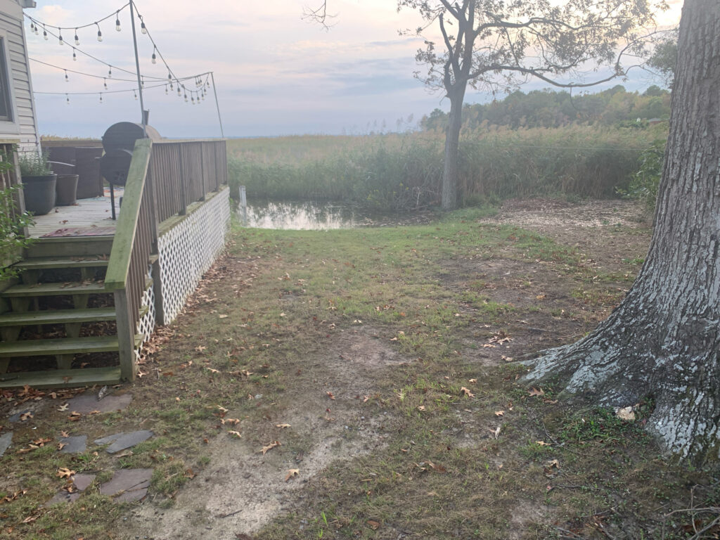 a fence and a yard with trees (MyCoast AI)