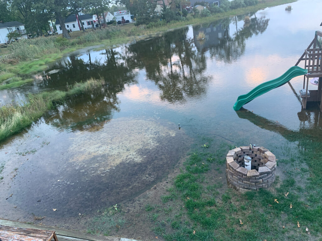 a pond with a basket of food (MyCoast AI)