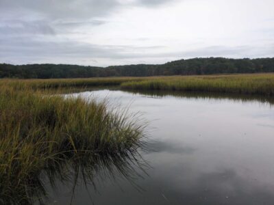 a body of water with grass and trees around it (MyCoast AI)