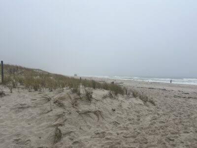 a sandy beach with trees (MyCoast AI)