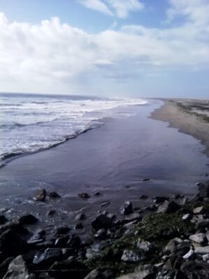 a rocky beach with waves crashing (MyCoast AI)