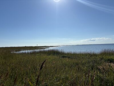 a grassy area next to a body of water (MyCoast AI)
