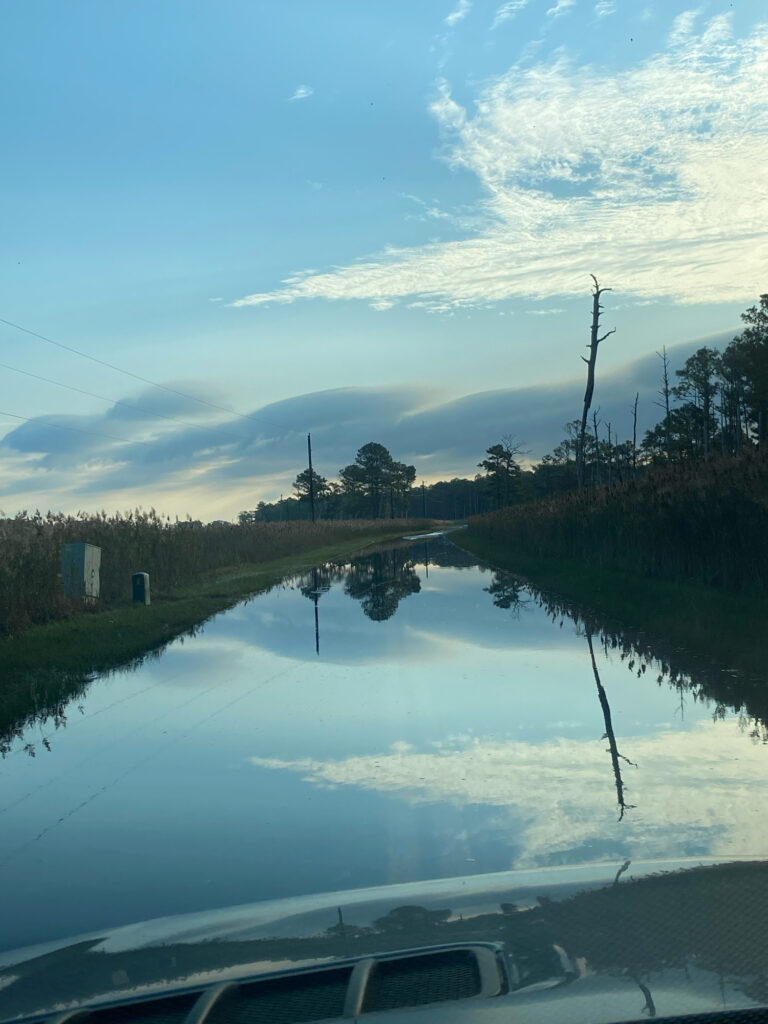 a body of water with trees and grass around it (MyCoast AI)