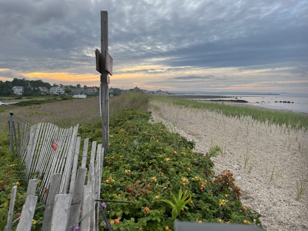 a fence and a field (MyCoast AI)