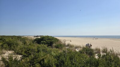 a group of people walking on a sandy beach (MyCoast AI)