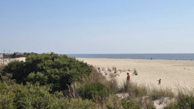 a person standing on a beach (MyCoast AI)