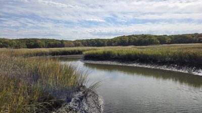 a body of water with grass and trees around it (MyCoast AI)