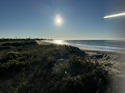 a beach with grass and water (MyCoast AI)