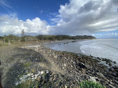 a rocky beach with trees and water (MyCoast AI)