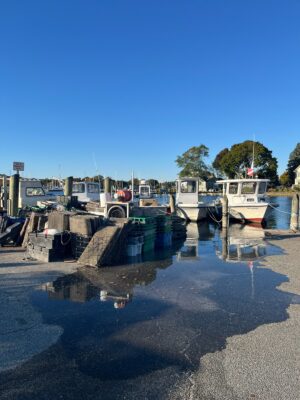 boats docked at a pier (MyCoast AI)