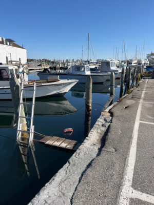 boats docked at a pier (MyCoast AI)