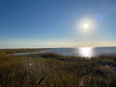 a grassy area next to a body of water (MyCoast AI)