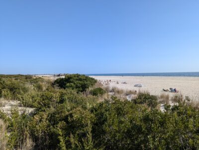 a beach with bushes and trees (MyCoast AI)