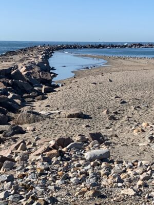 a rocky beach with a body of water in the background (MyCoast AI)