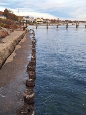 a body of water with a dock and a walkway with a stone wall (MyCoast AI)