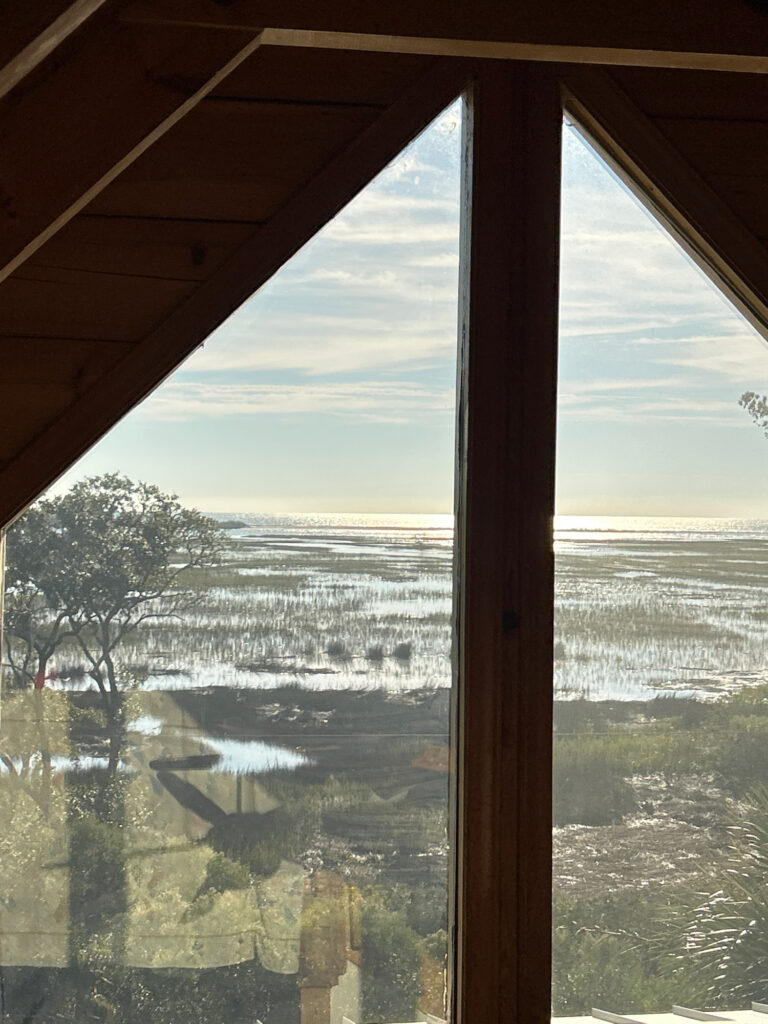 a view of a city from a window (MyCoast AI)