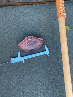 a piece of wood on the floor (MyCoast AI)