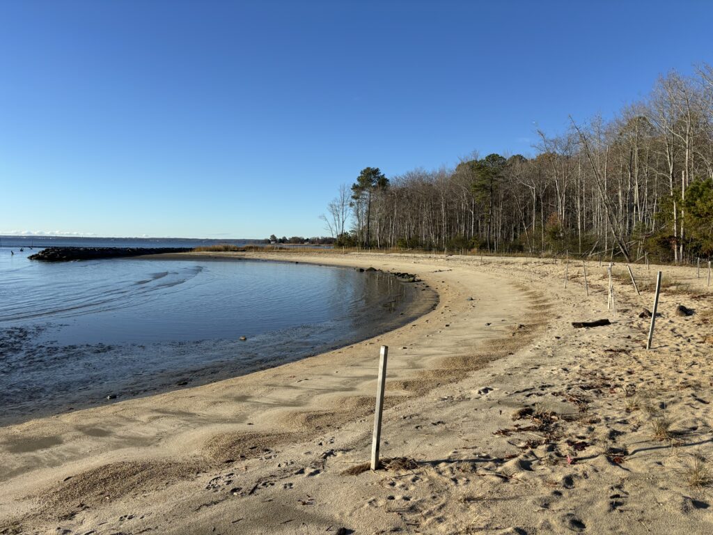 a sandy beach with trees on the side (MyCoast AI)