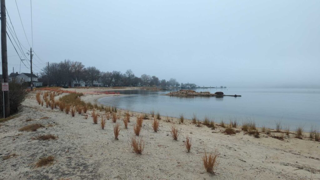 a body of water with a dock and a beach with trees (MyCoast AI)