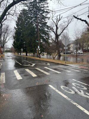a street with trees on the side (MyCoast AI)
