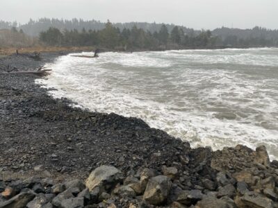 a rocky shore with a body of water and trees in the background (MyCoast AI)