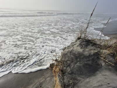 a beach with waves crashing (MyCoast AI)