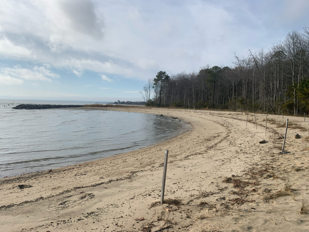a beach with trees and water (MyCoast AI)